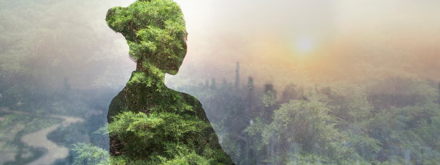 Qi Gong and meditative movement classes with Dr. Jessica Lipham
