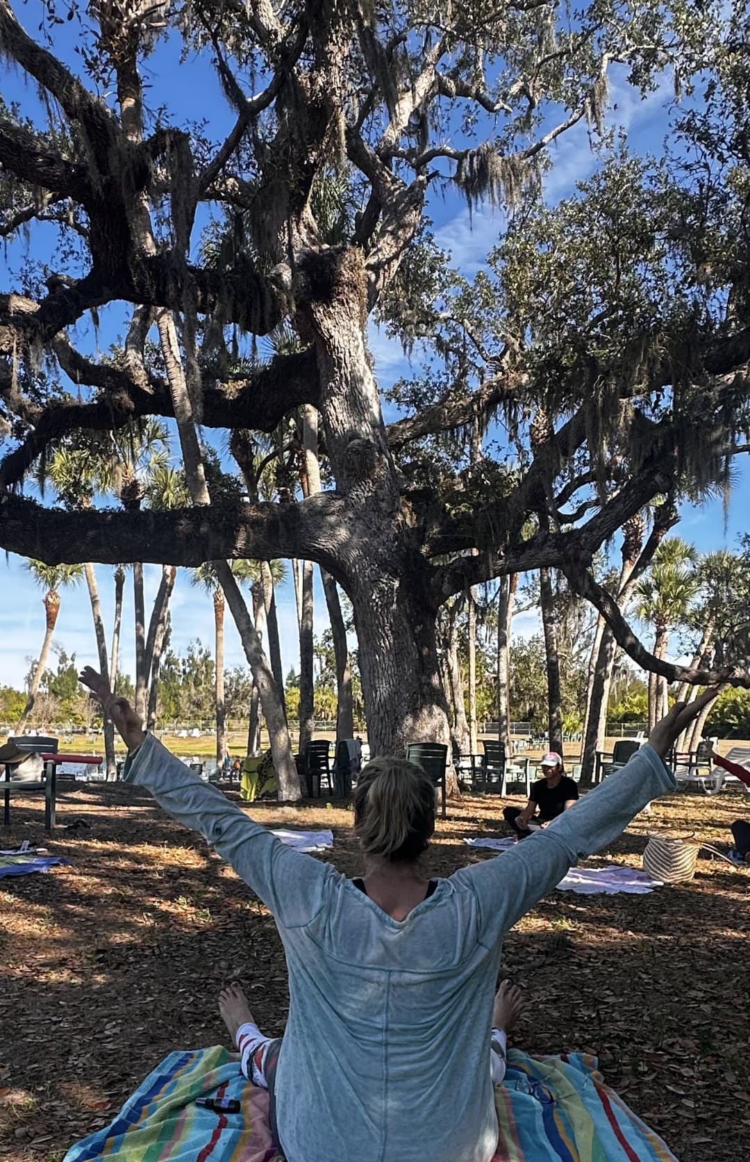 Qi Gong practice beneath an oak tree at a Warm Mineral Springs retreat