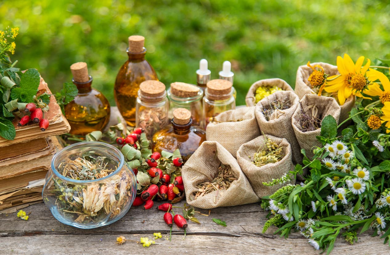 Western Botanical Medicine